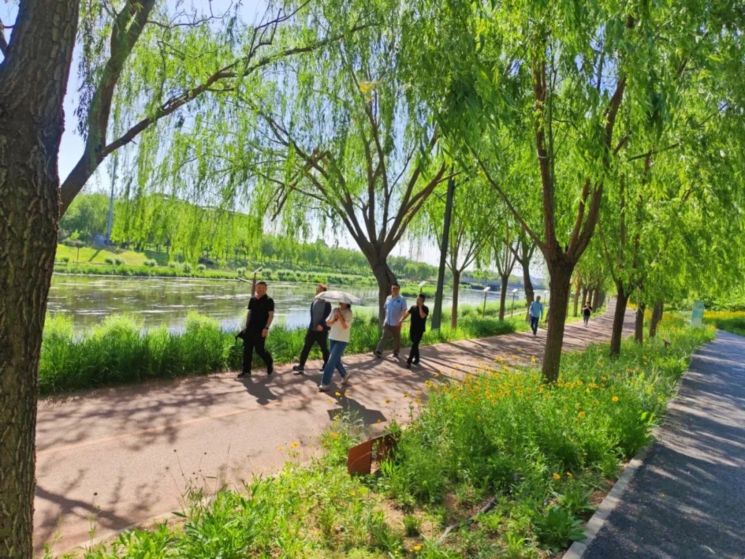 中晶極智科技積極開(kāi)展健康徒步活動(dòng)